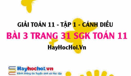 Giải bài 3 trang 31 Toán 11 tập 1 SGK Cánh Diều